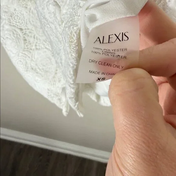 Alexis Layla Sleeveless Lace Mini Dress - Picture 8 of 9